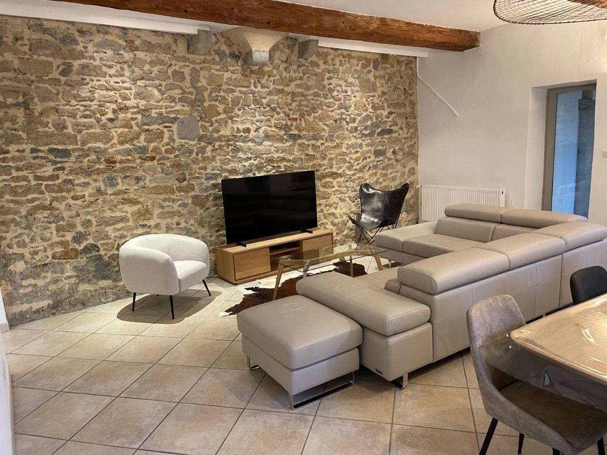 Apartament Beau Duplex Avec Jardin Et Vue Lyon Zewnętrze zdjęcie