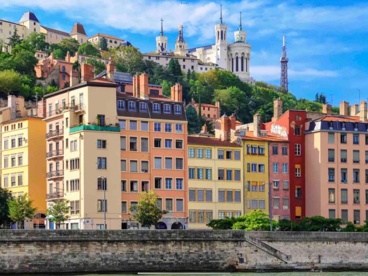 Apartament Beau Duplex Avec Jardin Et Vue Lyon Zewnętrze zdjęcie