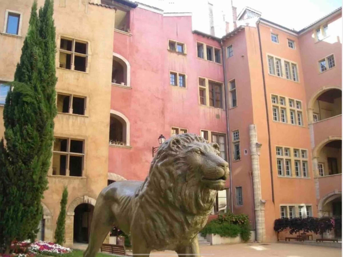 Apartament Beau Duplex Avec Jardin Et Vue Lyon Zewnętrze zdjęcie