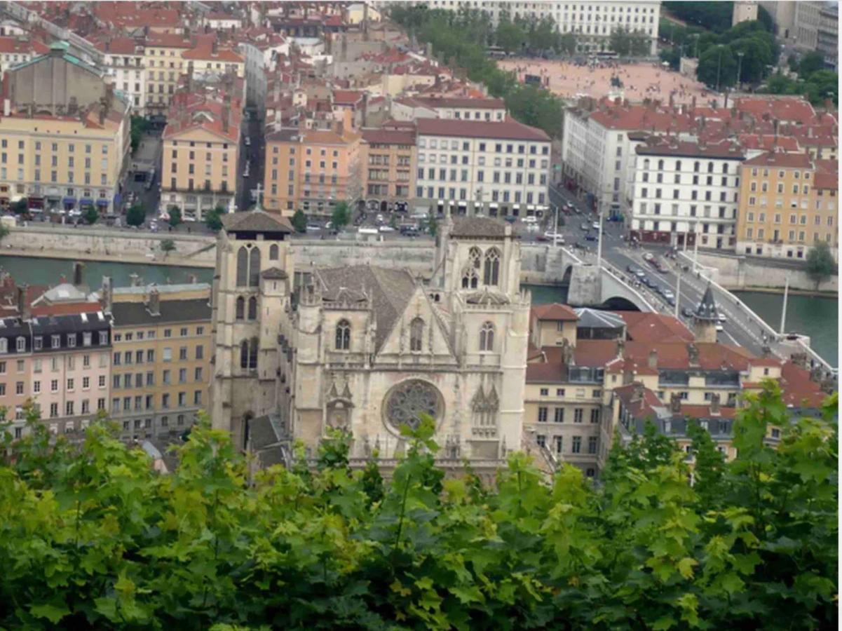 Apartament Beau Duplex Avec Jardin Et Vue Lyon Zewnętrze zdjęcie